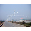 Double Arm Lighting Pole with Q235 High Grade Steel